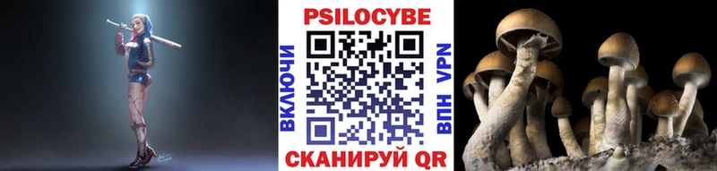 Псилоцибиновые грибы Psilocybe  Мурманск 